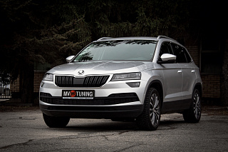 Зимний экран Skoda Karoq (2017-2021) нижний (текстурный пластик)